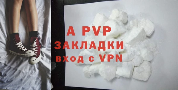 стаф Аркадак