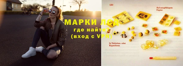 стаф Аркадак