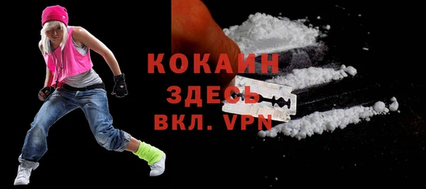 стаф Аркадак