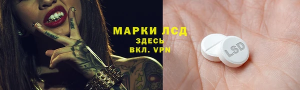 стаф Аркадак