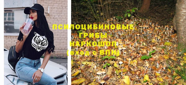 стаф Аркадак