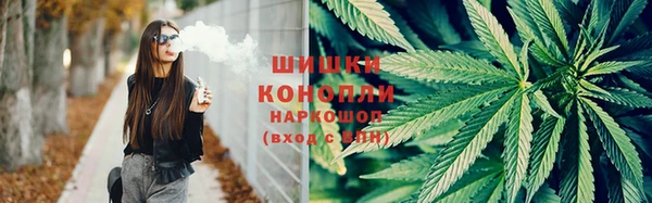 ПСИЛОЦИБИНОВЫЕ ГРИБЫ Остров