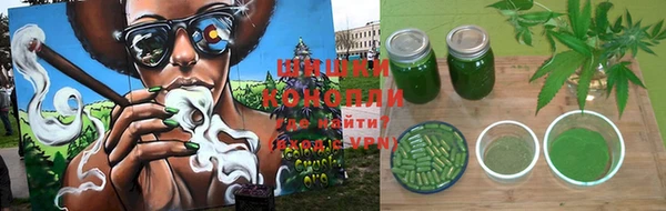 шишки Балахна