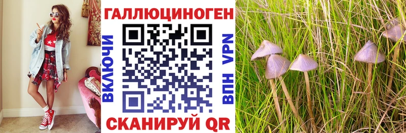 Галлюциногенные грибы ЛСД  Можга 